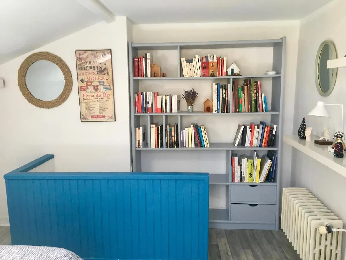 Vakantiehuis Maison Avec Terrasse A Arles, Provence Frankrijk