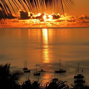 Malacca, Malanga Et Majacudja - O Coeur De , Deshaies Guadeloupe