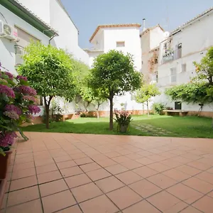 Centro , Granada Spain